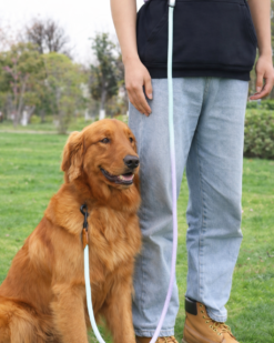 K9RAZE™ Purple VersaLead