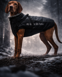 K9RAZE™ Outdoor Dog Jacket