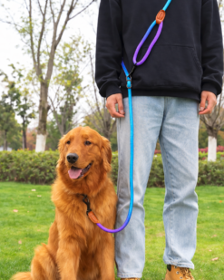 K9RAZE™ Blue VersaLead